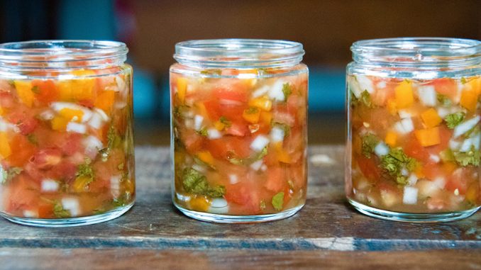 fermented salsa fermented salsa
