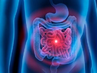 The Importance of Gut Health