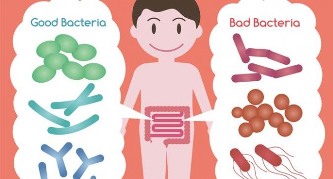 What are Probiotics Good For?