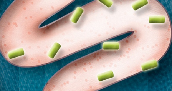 How Long Do Probiotics Take to Start Working