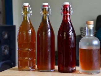 Is Kombucha A Good Source Of Probiotics