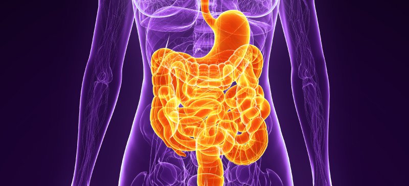 6-Signs-Your-Gut-Health-is-Impairing-Your-Performance