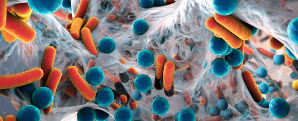 five-ways-antibiotics-can-hurt-your-gut-microflora-and-how-probiotics-can-help